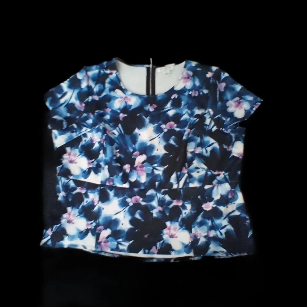 Liz Claiborne Woman 2X  2pc Matching Set Top And Skirt Pink Blue White Flowers